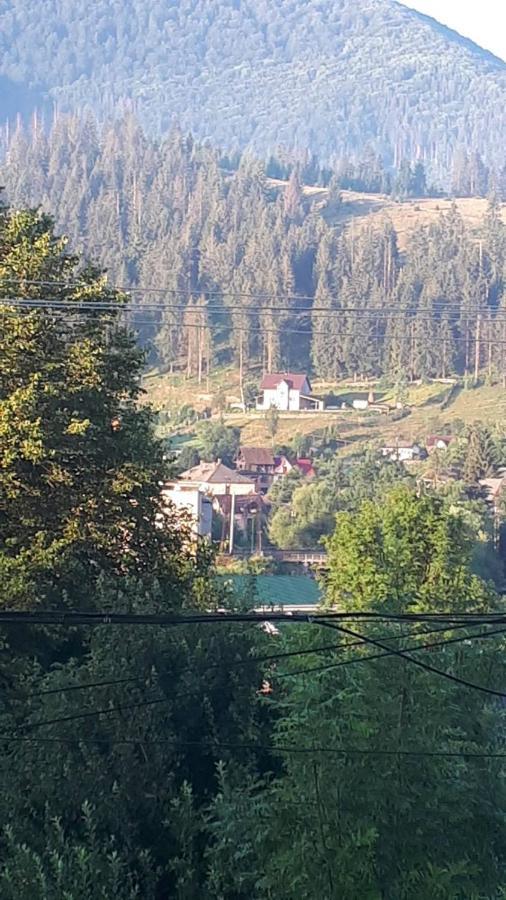 Садиба Під Лісом Volovăţ Exterior foto